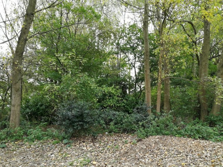 WhatsApp Image 2021-05-11 at 19.28.58 (3)